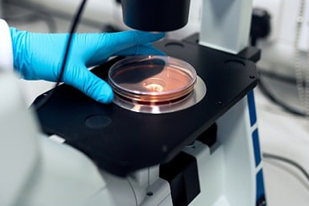Ruang QC Mikrobiologi